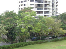 Thomson View Condominium (D20), Condominium #1127782